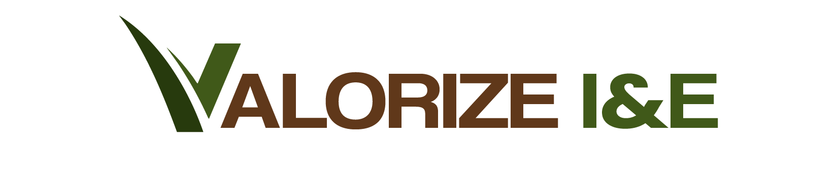 valorizeie.com valorizeie.com