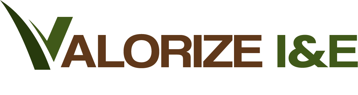 valorizeie.com valorizeie.com